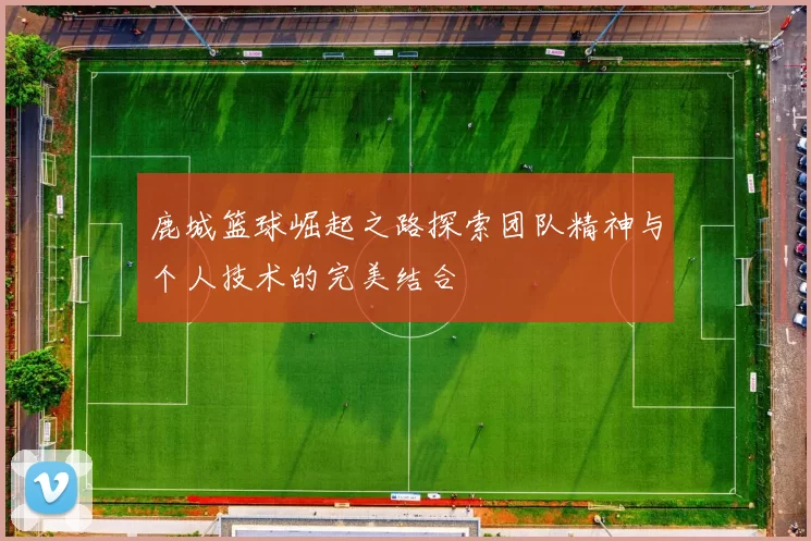 鹿城篮球崛起之路探索团队精神与个人技术的完美结合