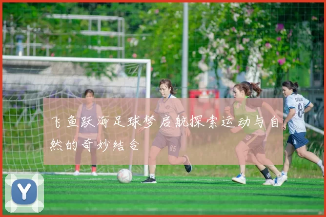 飞鱼跃海足球梦启航探索运动与自然的奇妙结合