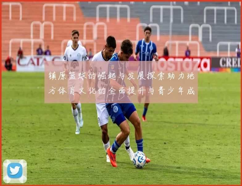镇原篮球的崛起与发展探索助力地方体育文化的全面提升与青少年成长